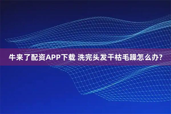 牛来了配资APP下载 洗完头发干枯毛躁怎么办?